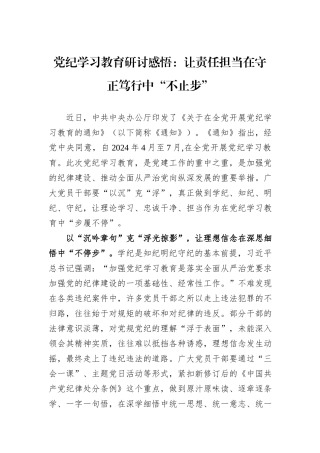 党纪学习教育研讨感悟：让责任担当在守正笃行中“不止步”