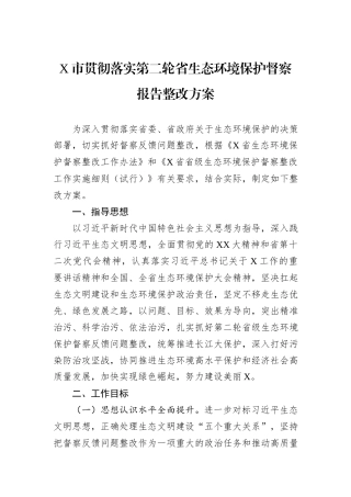 X市贯彻落实第二轮省生态环境保护督察报告整改方案