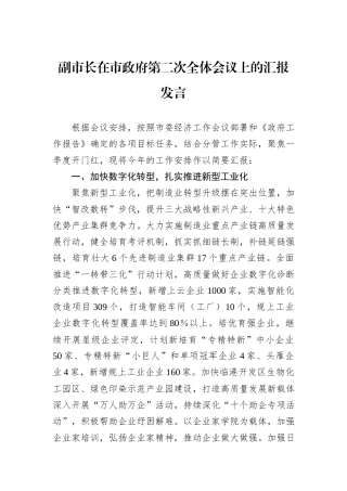 副市长在市政府第二次全体会议上的汇报发言