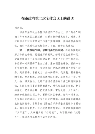 在市政府第二次全体会议上的讲话