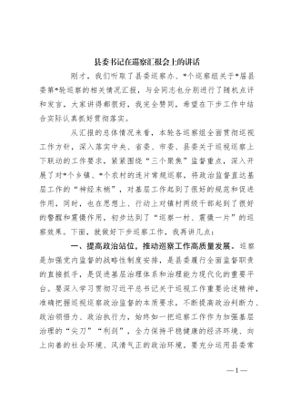 县委书记在巡察汇报会上的讲话