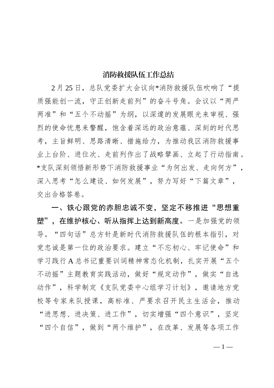 消防救援队伍工作总结_第1页