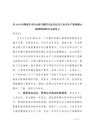 在2024年理论学习中心组专题学习总书记关于安全生产重要指示精神时的研讨交流发言