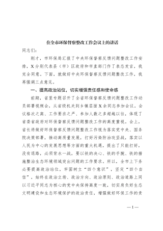 在全市环保督察整改工作会议上的讲话