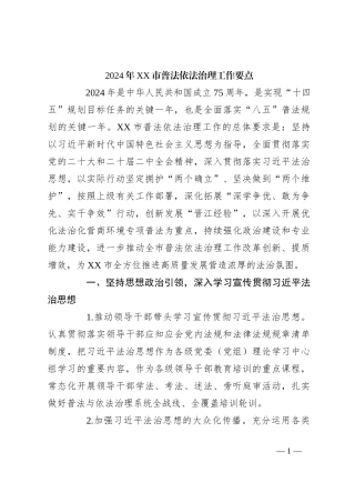 2024年XX市普法依法治理工作要点