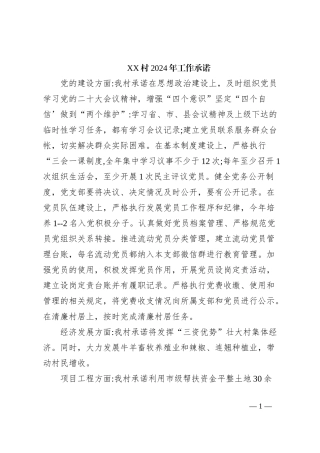 XX村2024年工作承诺