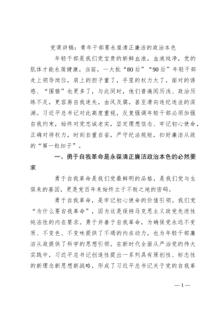 党课讲稿：青年干部要永葆清正廉洁的政治本色