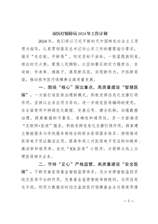 市医疗保障局2024年工作计划