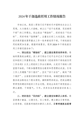 2024年干部选拔任用工作情况报告