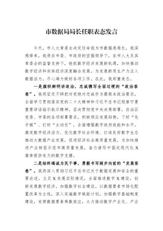 市数据局局长任职表态发言