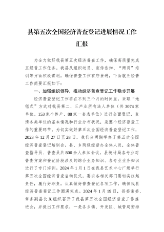 县第五次全国经济普查登记进展情况工作汇报