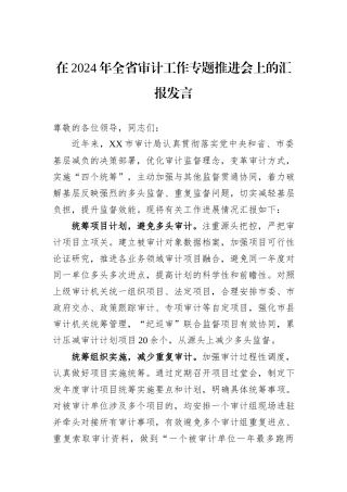 在2024年全省审计工作专题推进会上的汇报发言