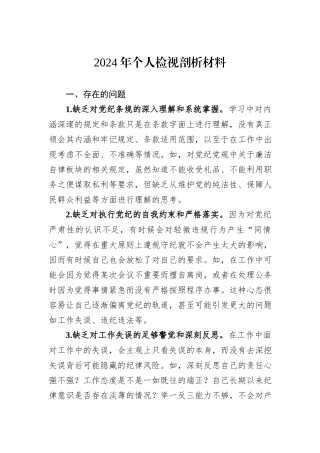 2024年个人检视剖析材料