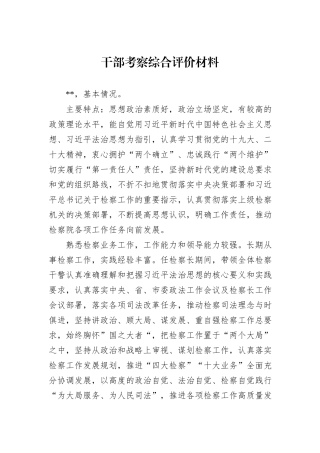 干部考察综合评价材料