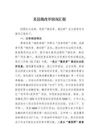 某县微改革情况汇报