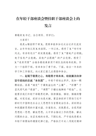 在年轻干部座谈会暨挂职干部座谈会上的发言