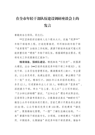 在全市年轻干部队伍建设调研座谈会上的发言