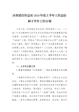 区供销合作总社2024年度上半年工作总结和下半年工作计划