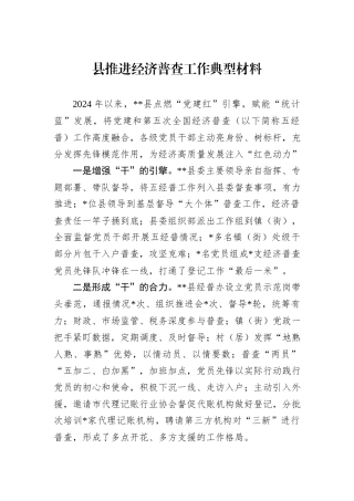 县推进经济普查工作典型材料