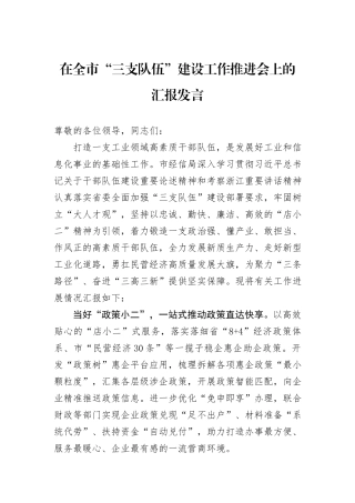 在全市“三支队伍”建设工作推进会上的汇报发言