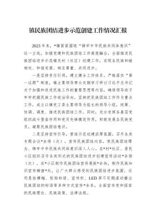 镇民族团结进步示范创建工作情况汇报