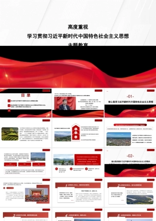 1高度重视学习贯彻习近平新时代中国特色社会主义思想主题教育1