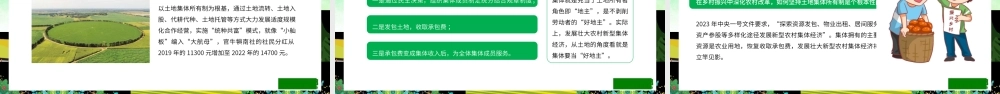 1强化农村基层党组织政治功能和组织功能 解读2023年中央一号文件1