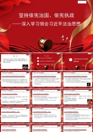 1深入学习领会习近平法治思想：坚持依宪治国、依宪执政1