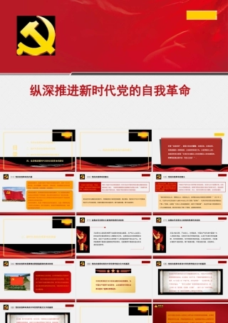 1纵深推进新时代党的自我革命1