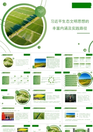 习近平生态文明思想的丰富内涵及实践路径ppt
