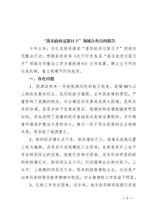 “落实政府过紧日子”领域自查自纠报告