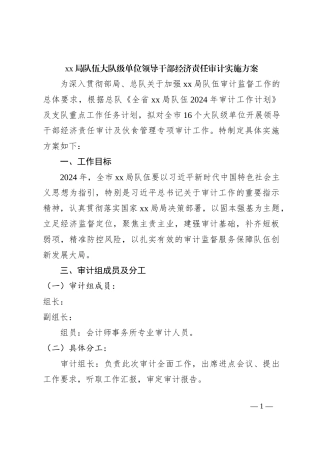 xx局队伍大队级单位领导干部经济责任审计实施方案