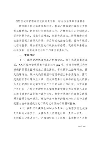 XX区城市管理局行政执法责任制、综合执法改革自查报告