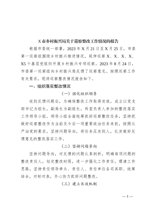 X市乡村振兴局关于巡察整改工作情况的报告