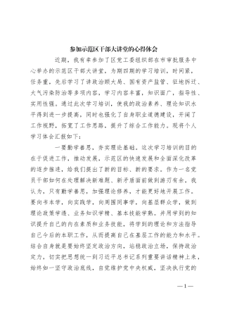 参加示范区干部大讲堂的心得体会