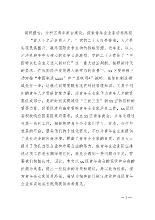 调研报告：分析区青年商会建设，探索青年企业家培养路径