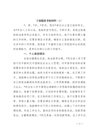 干部提拔考察材料（2）