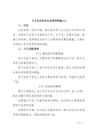 个人存在的不足及整改措施 (13)