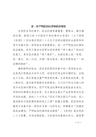 进一步严明政治纪律和政治规矩