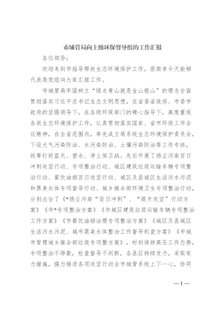 市城管局向上级环保督导组的工作汇报