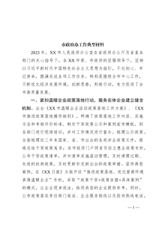 市政府办工作典型材料