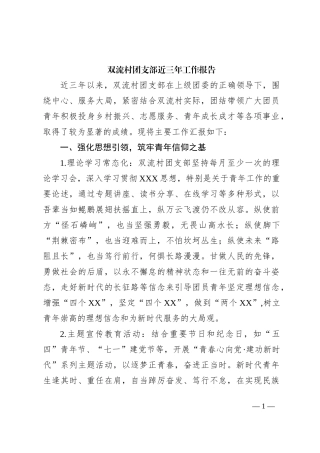 双流村团支部近三年工作报告