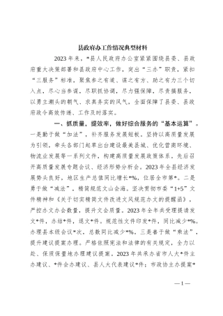 县政府办工作情况典型材料