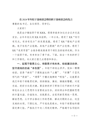 在2024年年轻干部座谈会暨挂职干部座谈会的发言