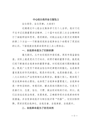 中心组自我革命主题发言