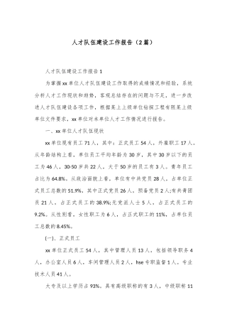 （2篇）关于人才队伍建设工作报告