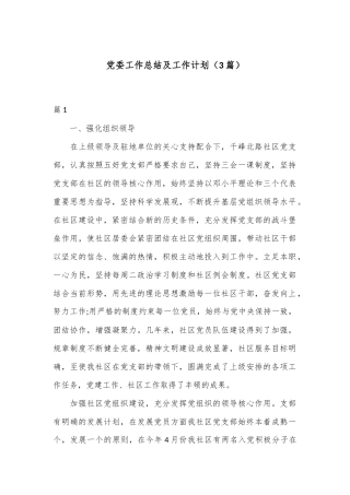 （3篇）党委工作总结及工作计划
