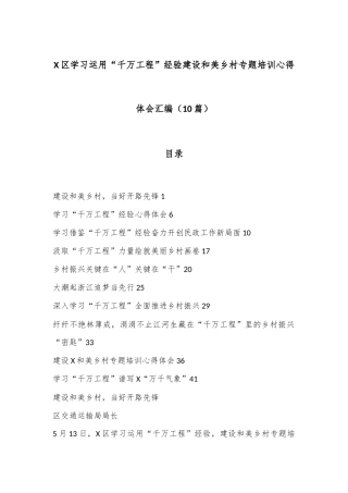 （10篇）X区学习运用“千万工程”经验建设和美乡村专题培训心得体会汇编