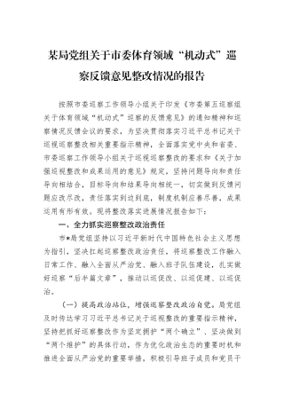 某局党组关于市委体育领域“机动式”巡察反馈意见整改情况的报告