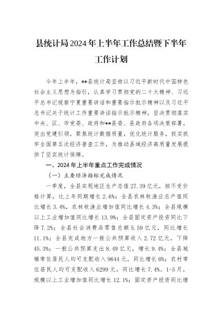 县统计局2024年上半年工作总结暨下半年工作计划